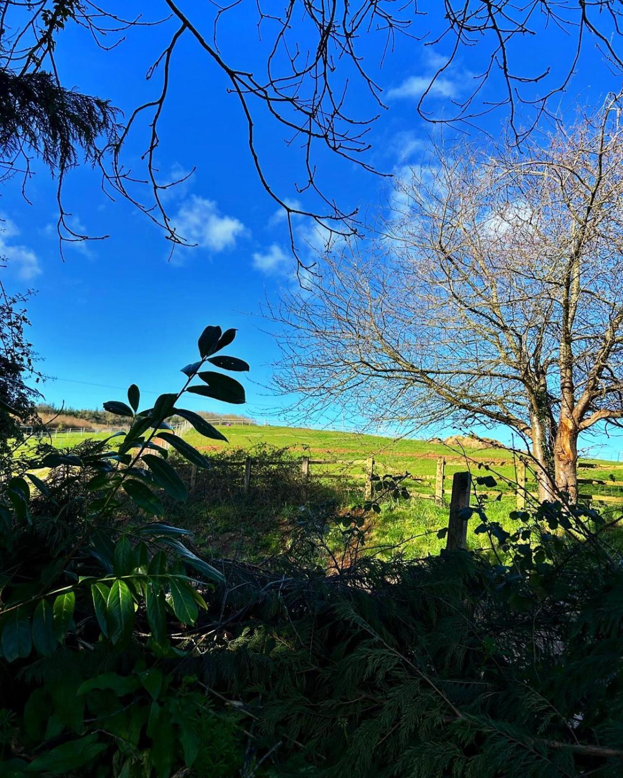 Sundial Cottage Newton Abbot Esterno foto
